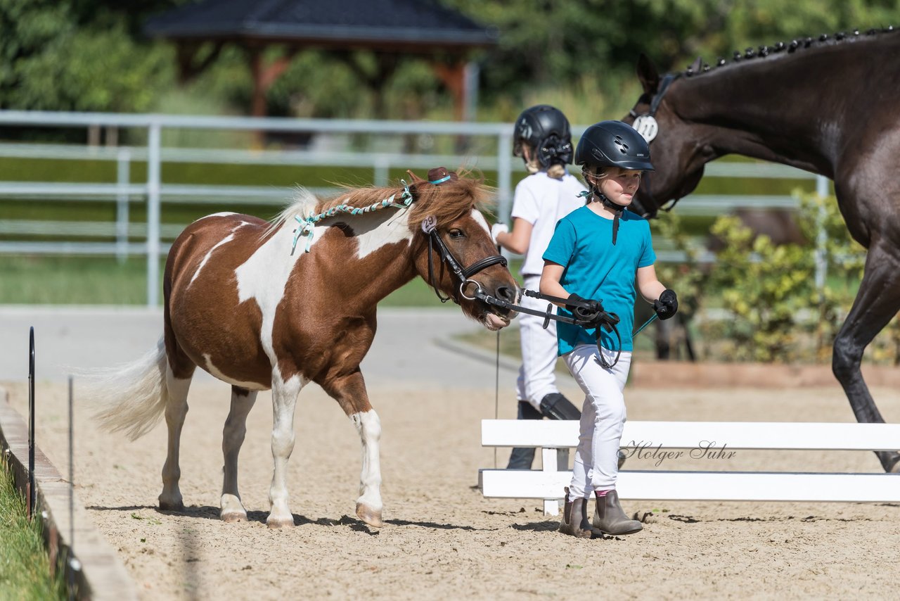 Bild 197 - Pony Akademie Turnier